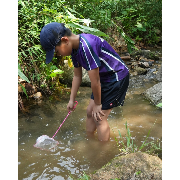 565121225_1284572637017255_8461150739710991920_n