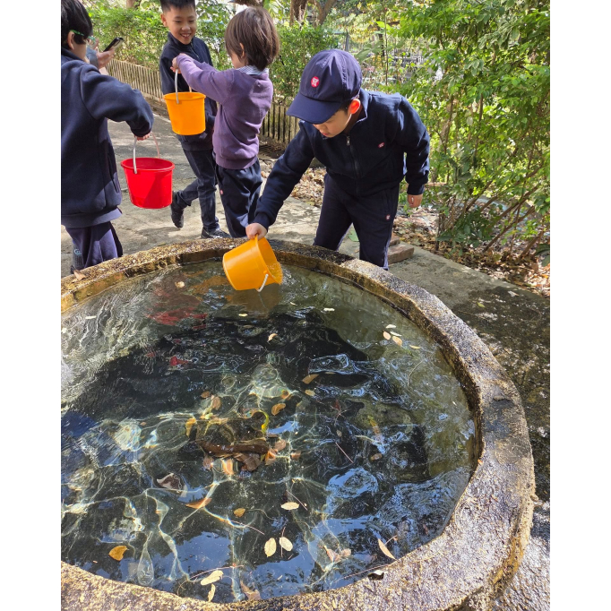 615306405_1353390890135429_2674767941123331097_n