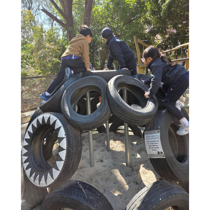 614486684_1353390780135440_7043692740671826913_n