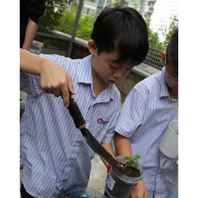 580920035_1306960721445113_5692955783681145006_n