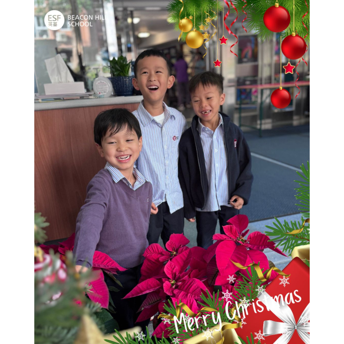 598563342_1329237299217455_1969064912986557316_n