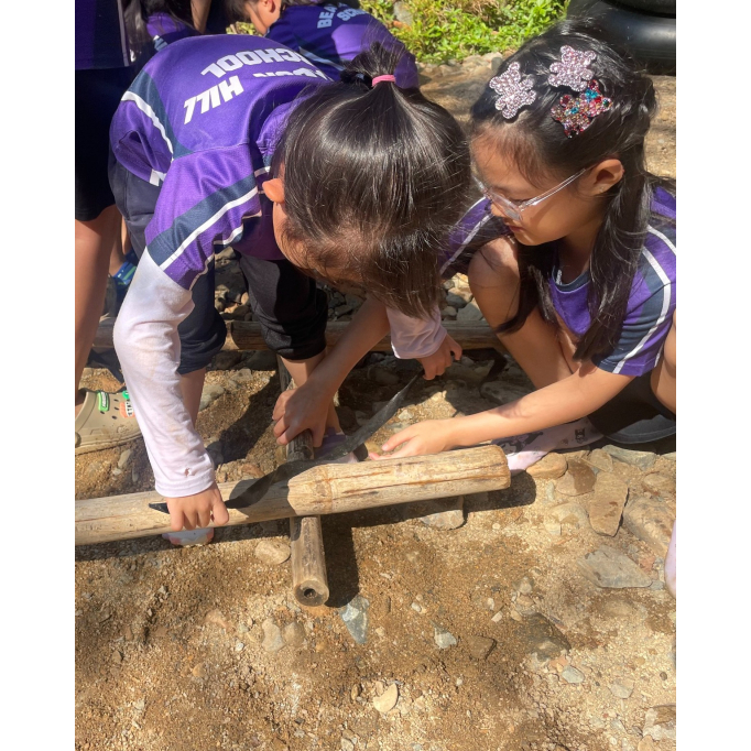 593660663_1320771683397350_3622351868023717256_n