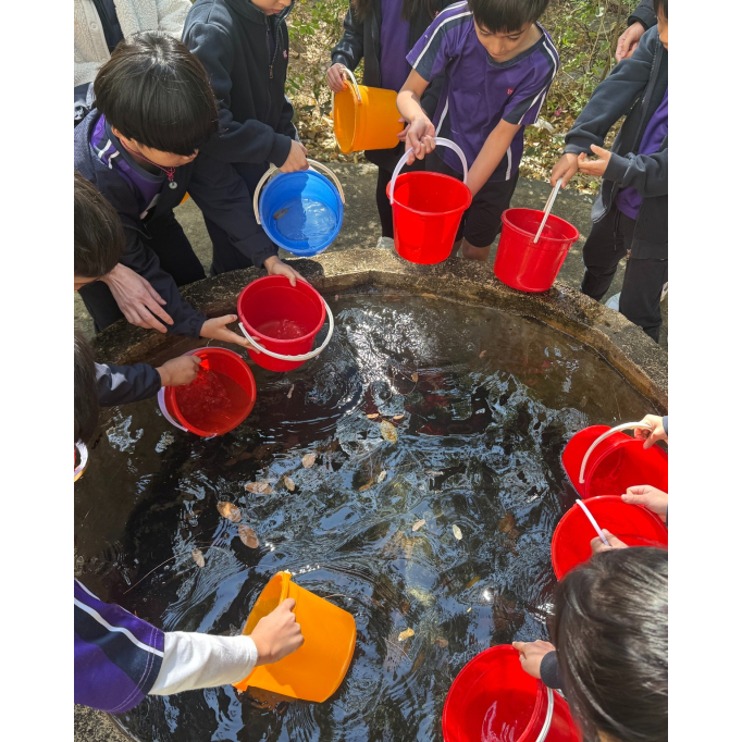 613519440_1353390813468770_7117806679377326816_n