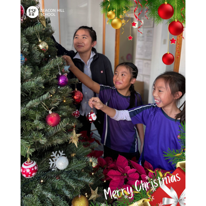 597382897_1329237295884122_3455204471176925201_n