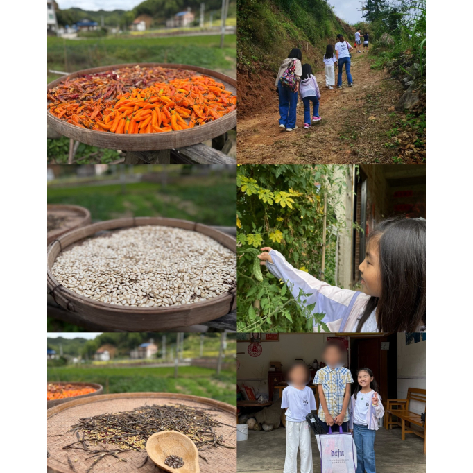 573064325_1297009379106914_541935629361160094_n