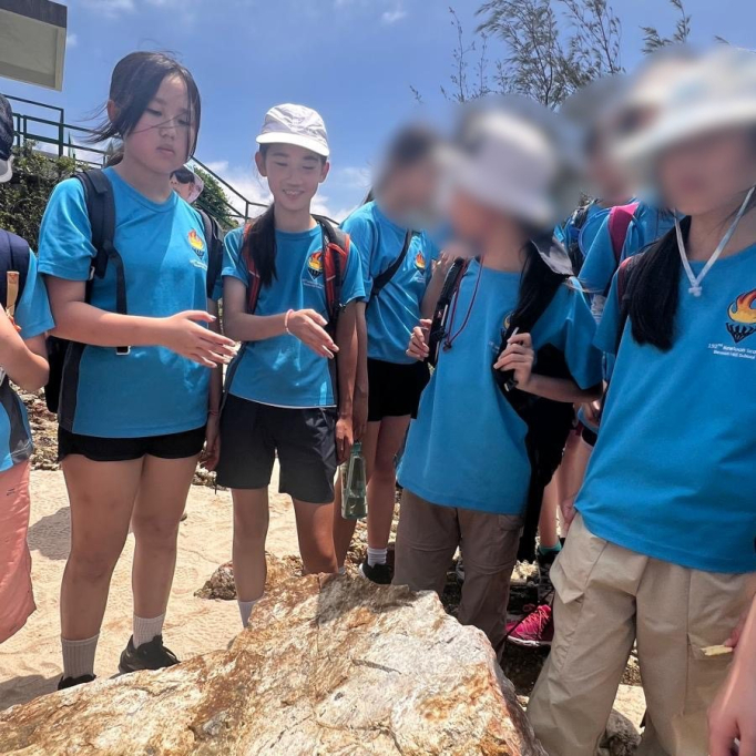 625313048_1371216658352852_6434571152897294422_n