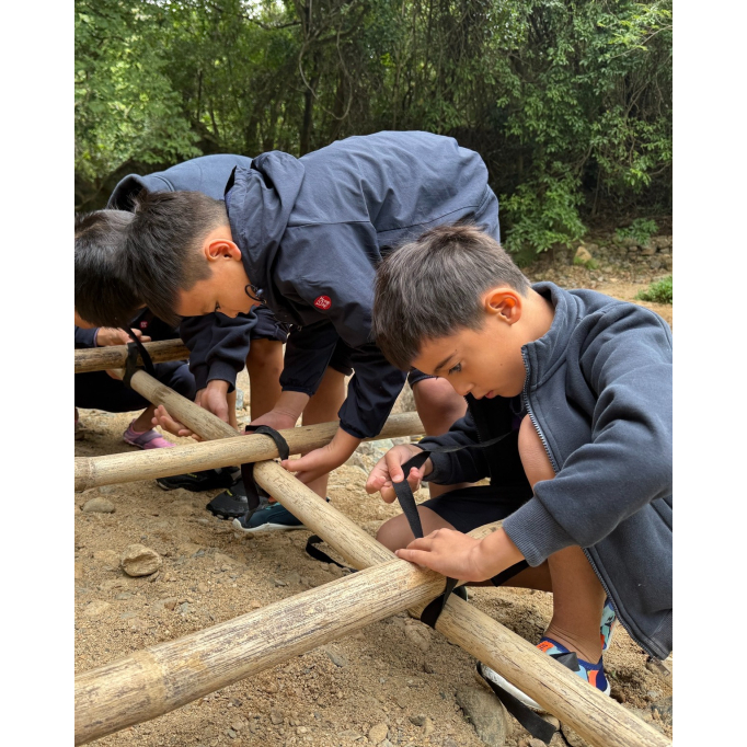 591163760_1320773463397172_3194926099776571219_n